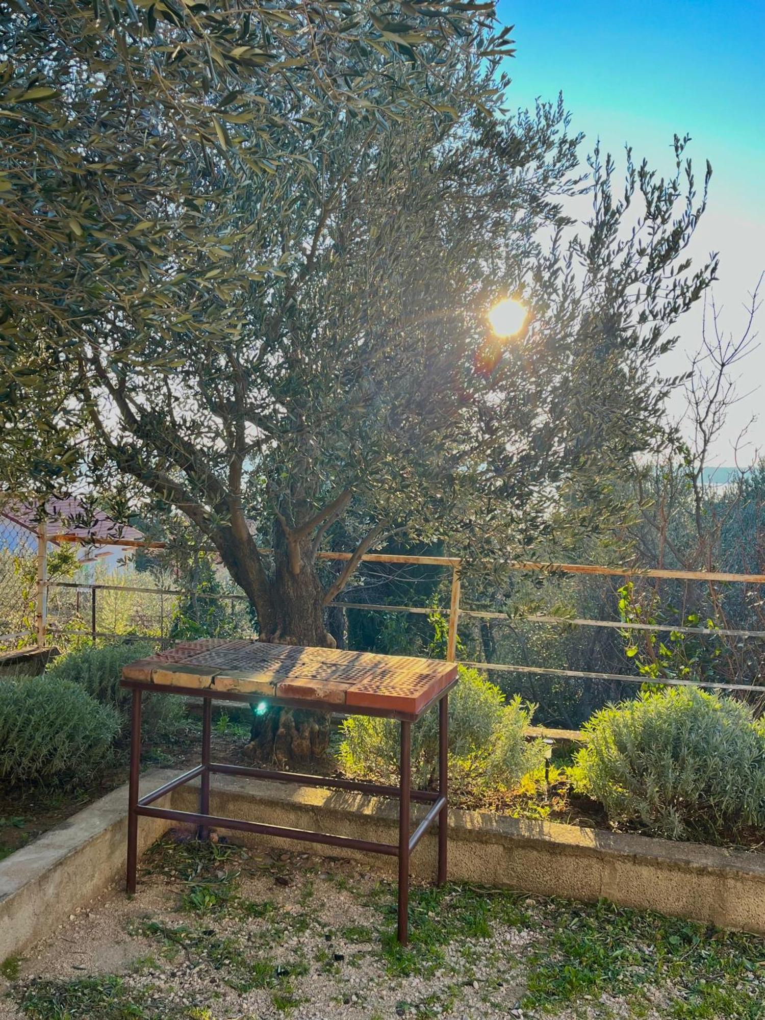 Modern Seaview House Fiore Starigrad Paklenica Esterno foto
